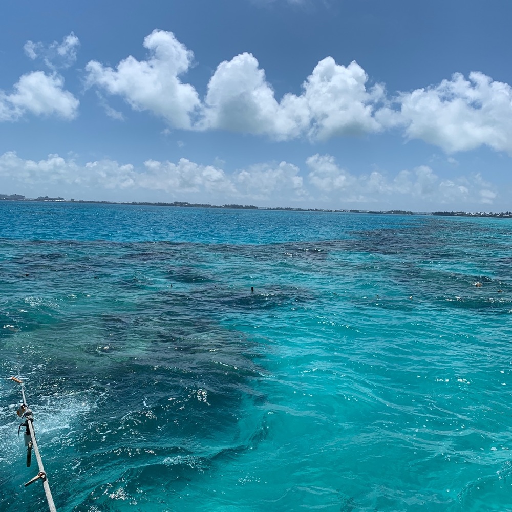 Meet your Posher, Matthew